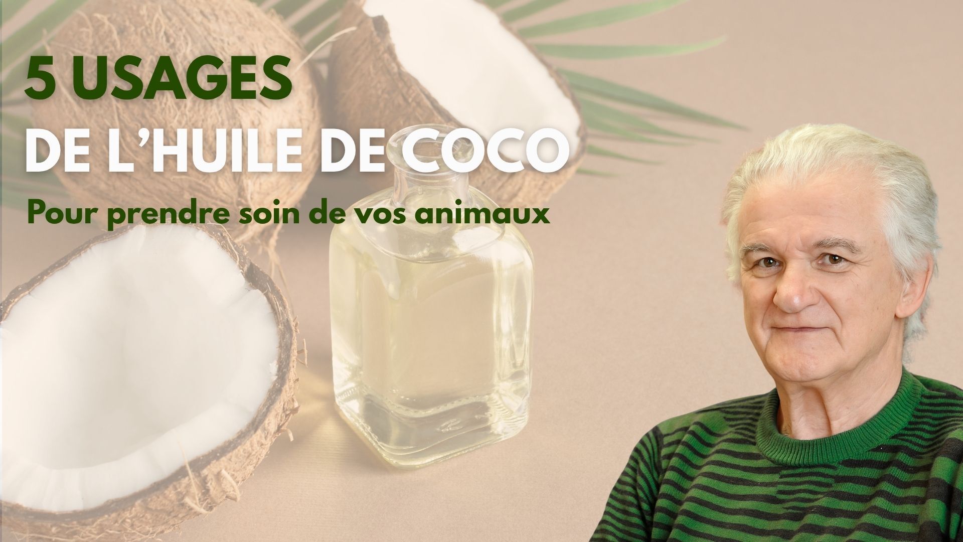 5 usages de l’huile de coco pour prendre soin de vos animaux