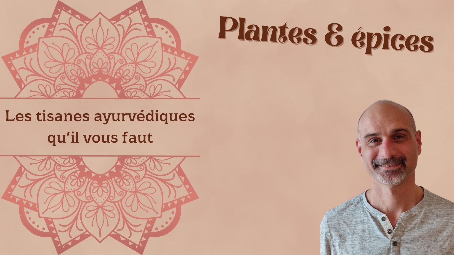 Plantes et épices : les tisanes ayurvédiques qu’il vous faut