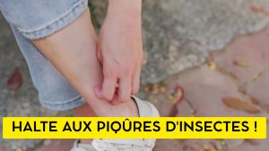Piqûres d’insectes