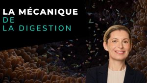 La mécanique de la digestion