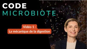 La mécanique de la digestion