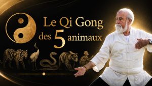 Le Qi Gong des 5 animaux