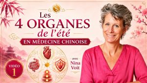 Les 4 organes de l’été en médecine chinoise